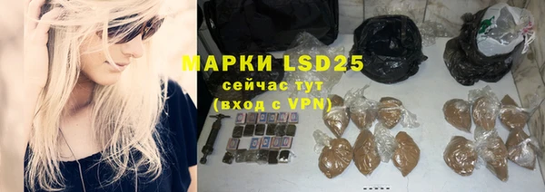 гидра Абаза
