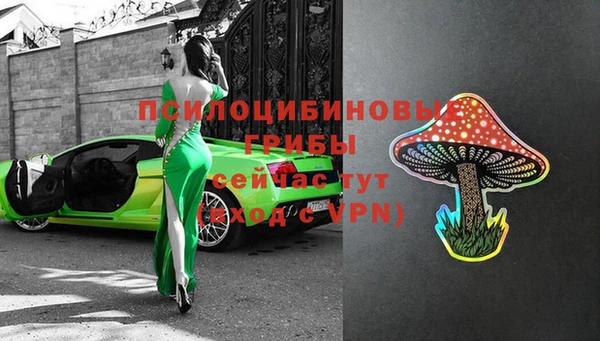 МДПВ Абинск