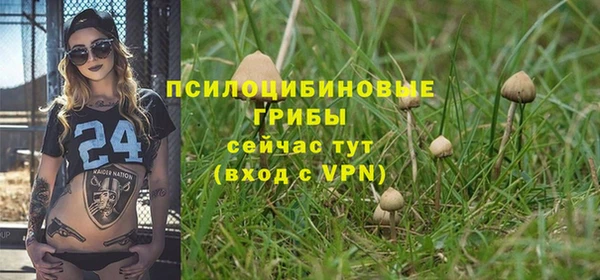 МДПВ Абдулино