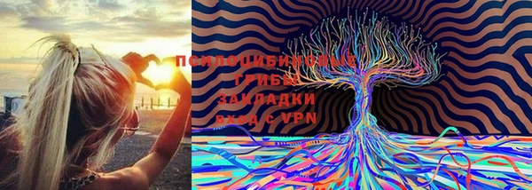 МДПВ Абдулино