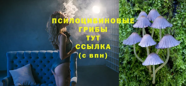 МДПВ Абинск