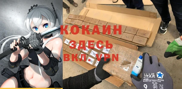 гидра Абаза