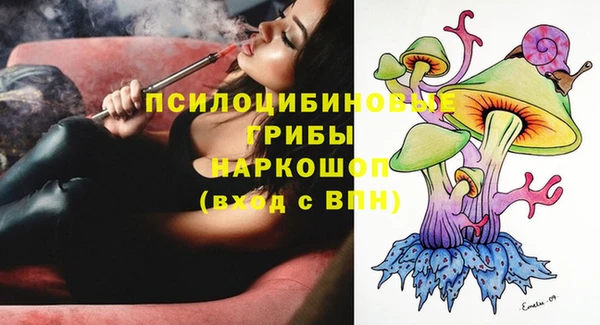 МДПВ Абинск