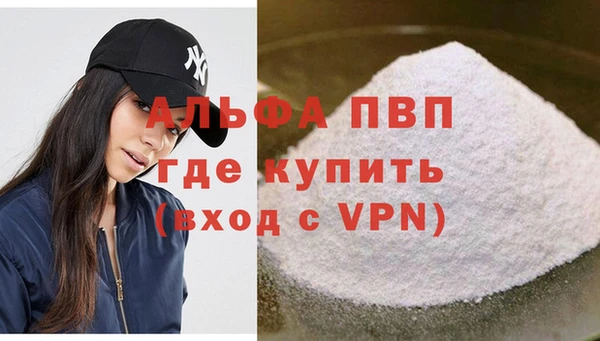 гидра Абаза
