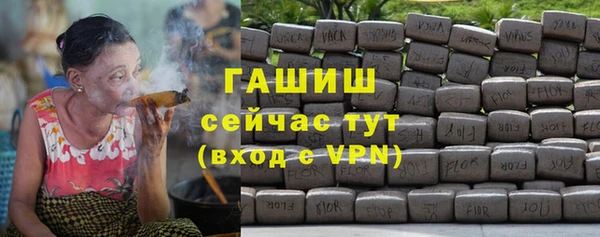 гидра Абаза