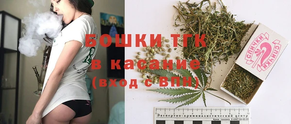 гидра Абаза
