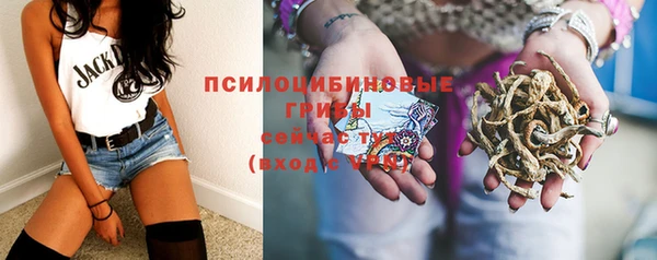 МДПВ Абинск